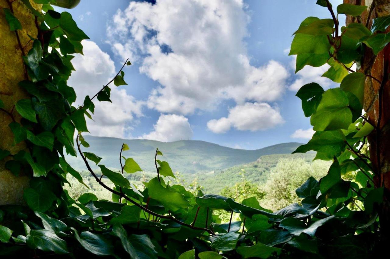 Podere Bargnano Cetona, Sleeps 12, Pool, Wifi, Air Conditioning 외부 사진