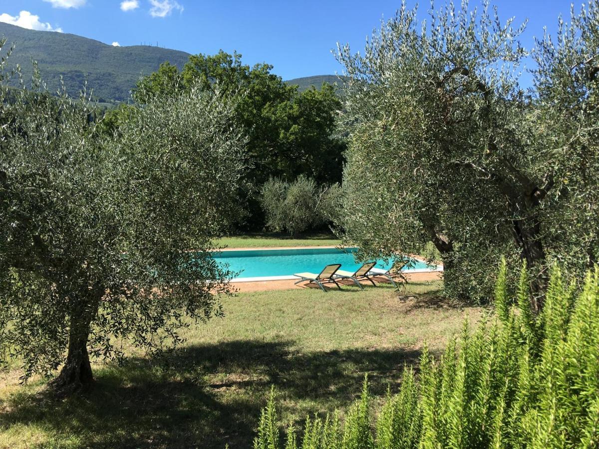 Podere Bargnano Cetona, Sleeps 12, Pool, Wifi, Air Conditioning 외부 사진